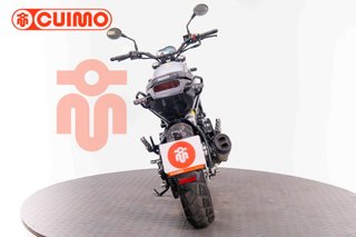 BENELLI LEONCINO 500