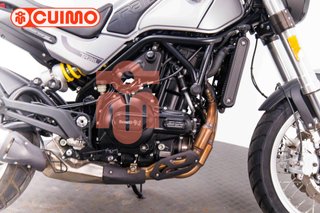 BENELLI LEONCINO 500
