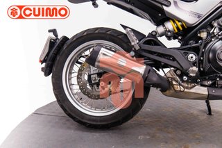 BENELLI LEONCINO 500