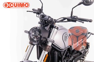 BENELLI LEONCINO 500