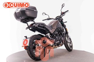 BENELLI LEONCINO 500
