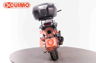 BENELLI LEONCINO 500