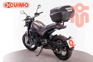 BENELLI LEONCINO 500