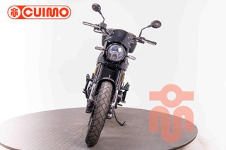 BENELLI LEONCINO 500