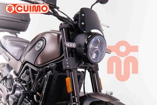 BENELLI LEONCINO 500