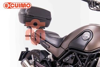 BENELLI LEONCINO 500