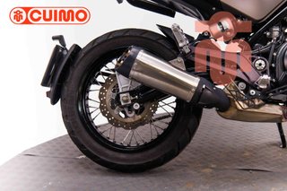 BENELLI LEONCINO 500