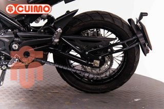 BENELLI LEONCINO 500