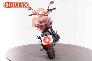 BENELLI LEONCINO 500