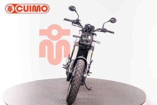 BENELLI LEONCINO 500