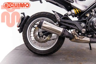 BENELLI LEONCINO 500