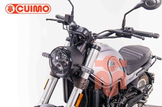 BENELLI LEONCINO 500