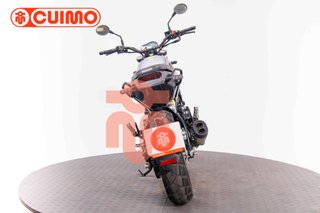 BENELLI LEONCINO 500
