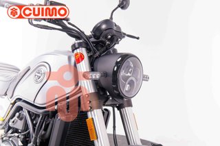 BENELLI LEONCINO 500