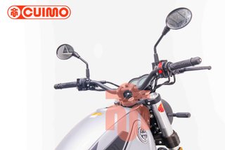 BENELLI LEONCINO 500