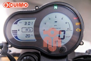 BENELLI LEONCINO 500