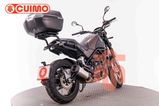 BENELLI LEONCINO 500