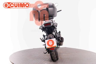 BENELLI LEONCINO 500