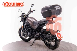 BENELLI LEONCINO 500