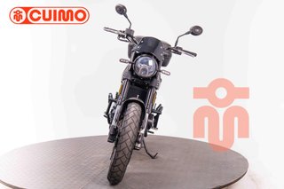 BENELLI LEONCINO 500