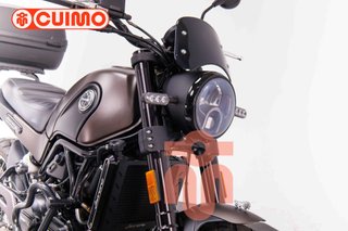 BENELLI LEONCINO 500