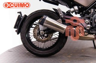 BENELLI LEONCINO 500