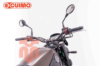 BENELLI LEONCINO 500