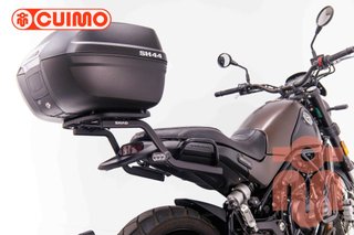 BENELLI LEONCINO 500