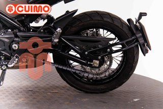 BENELLI LEONCINO 500