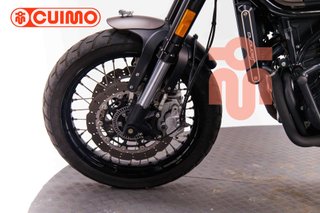BENELLI LEONCINO 500