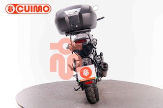 BENELLI LEONCINO 500