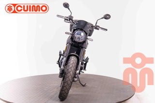 BENELLI LEONCINO 500