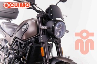 BENELLI LEONCINO 500