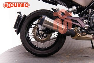 BENELLI LEONCINO 500