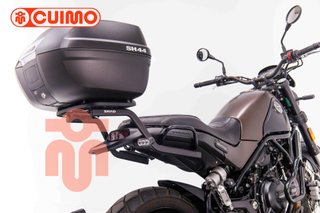 BENELLI LEONCINO 500