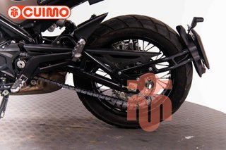 BENELLI LEONCINO 500