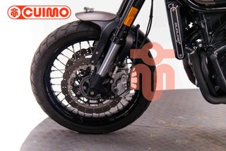 BENELLI LEONCINO 500