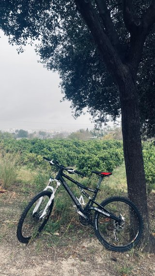 Bicicleta da Montagna Cannondale Rush