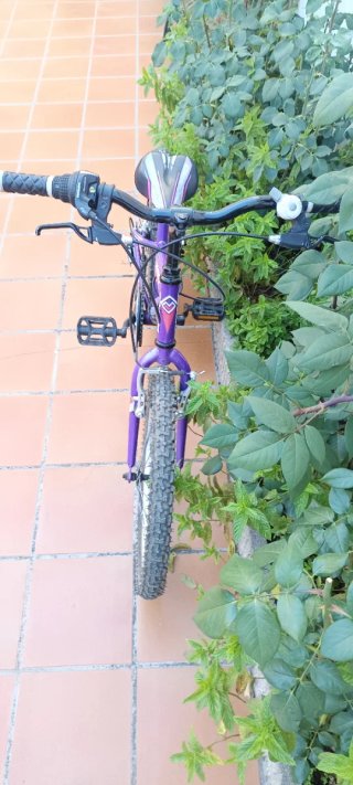 Bicicleta Megamo 20 Morada