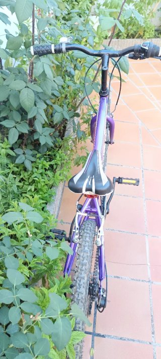 Bicicleta Megamo 20 Morada