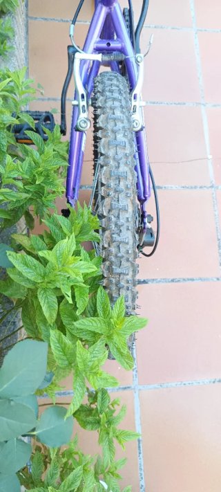 Bicicleta Megamo 20 Morada