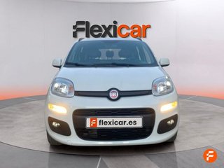 Fiat Panda 1.2 City Cross 51kW (69CV) 4x2