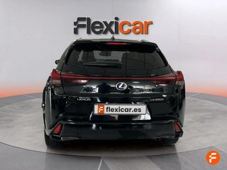 Lexus UX 2.0 250h Business