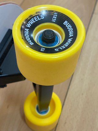 Surfskate Hydroponic