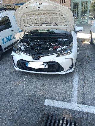 Toyota Corolla 2021