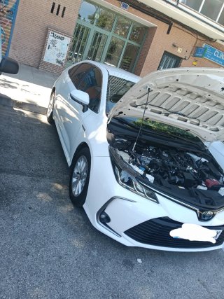 Toyota Corolla 2021