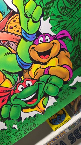 Teenage Mutant Ninja Turtles Poster PVC 70x45cm