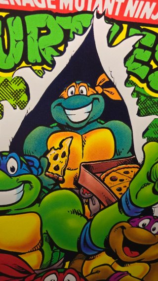 Teenage Mutant Ninja Turtles Poster PVC 70x45cm