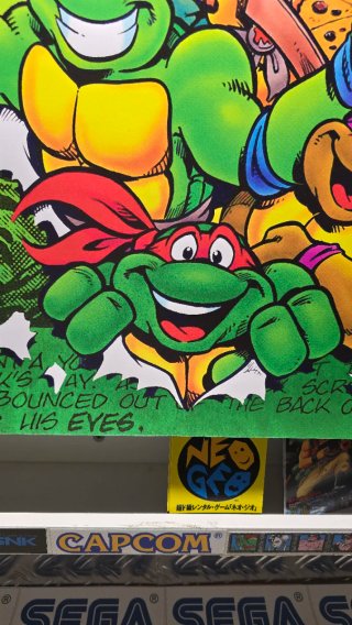 Teenage Mutant Ninja Turtles Poster PVC 70x45cm