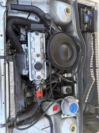Volkswagen Polo 1986